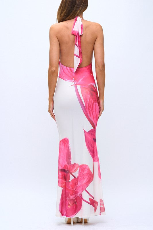 Kaimelia Dress
