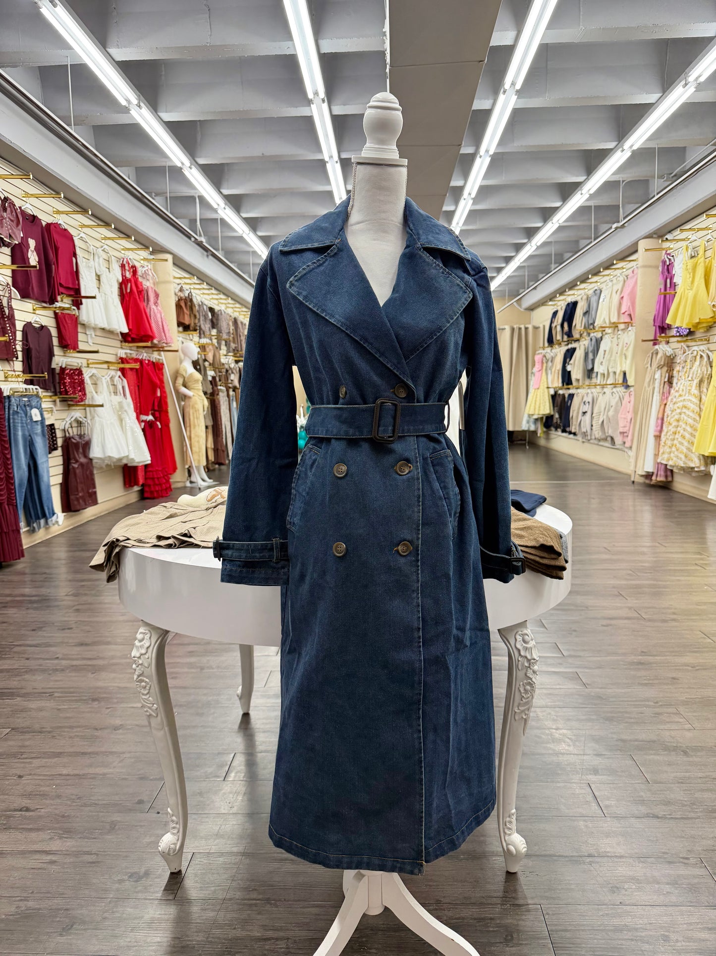 Winter Blues Coat