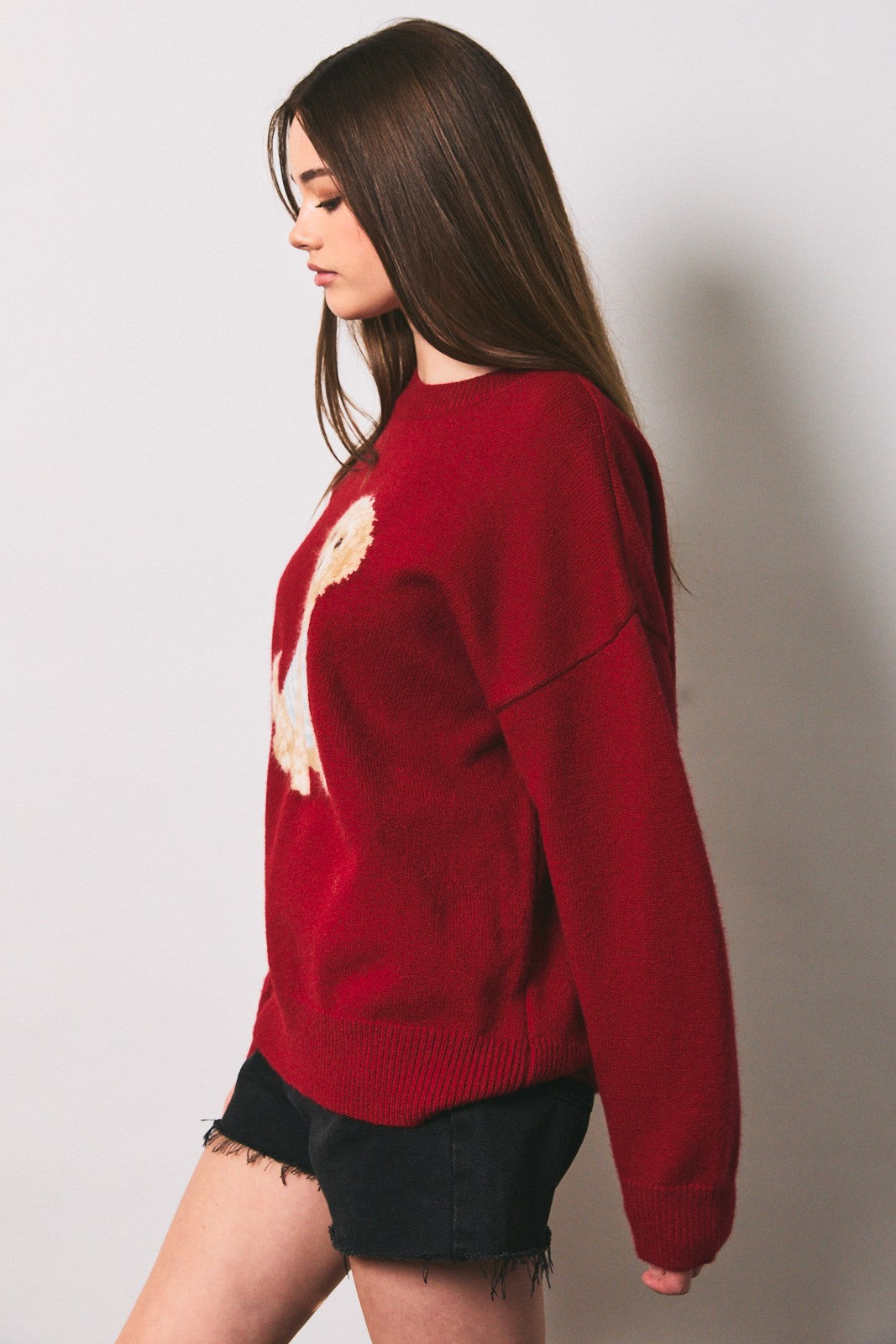 Teddy Pup Knit