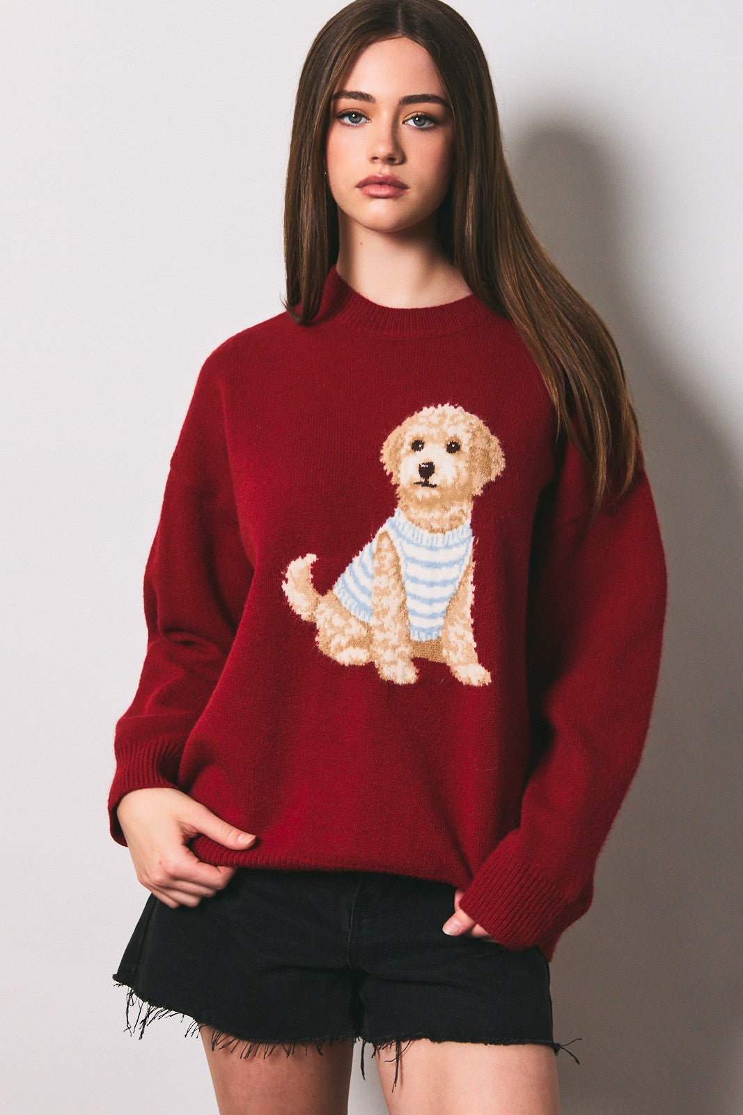 Teddy Pup Knit
