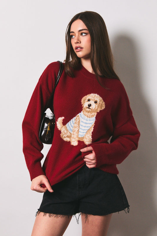 Teddy Pup Knit