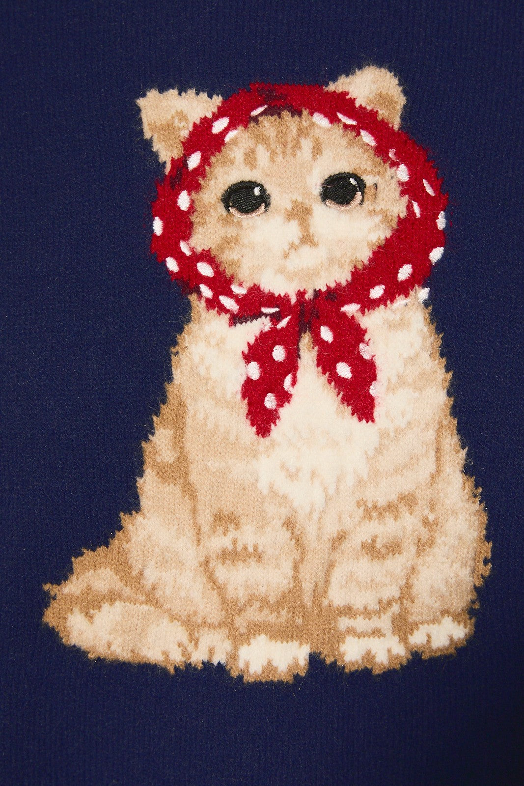 Kitty Cat Sweater