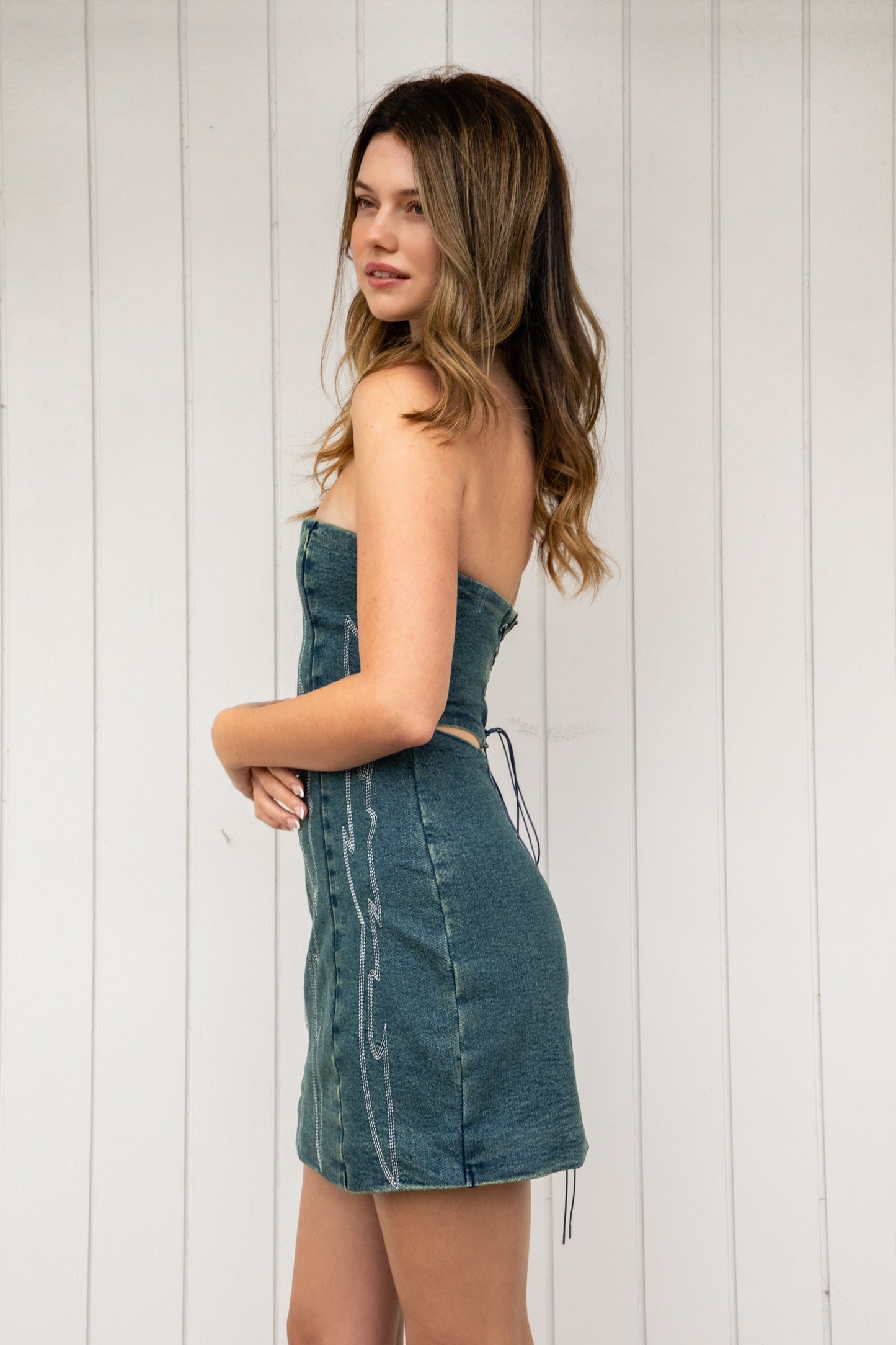 Arizona Denim Dress