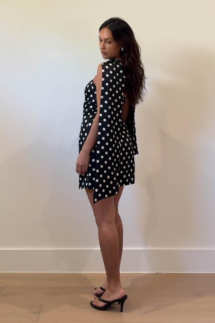 Timeless Dots Dress