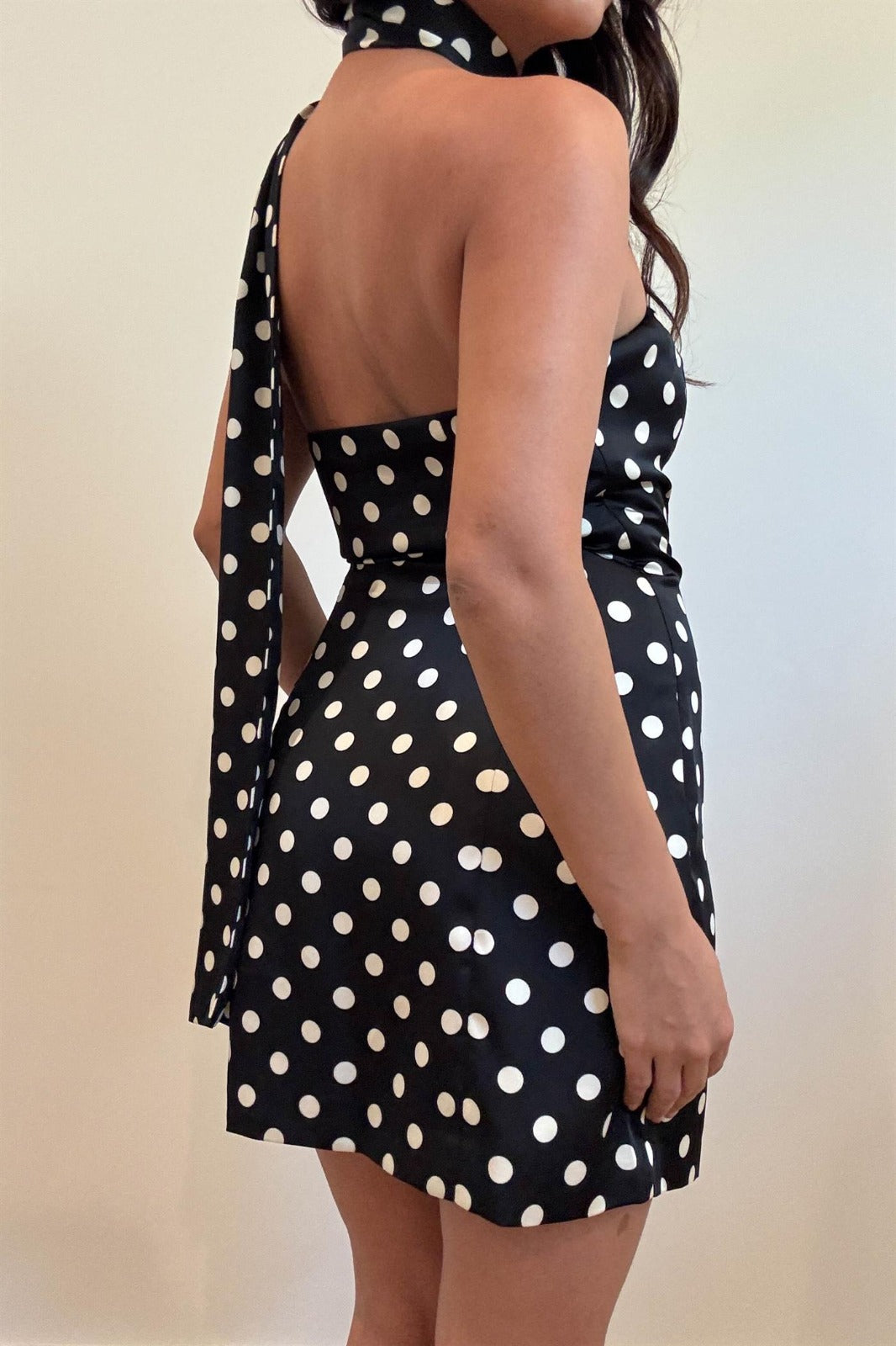 Timeless Dots Dress