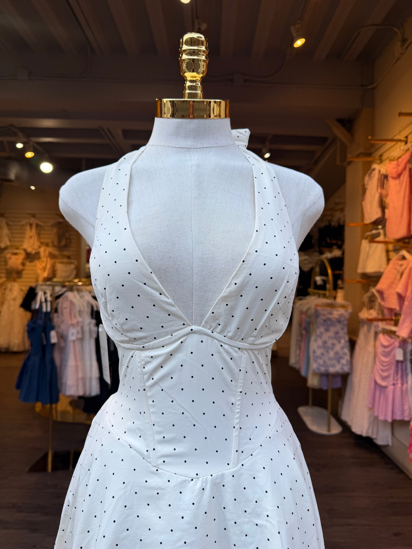 Pretty In Polka Dress