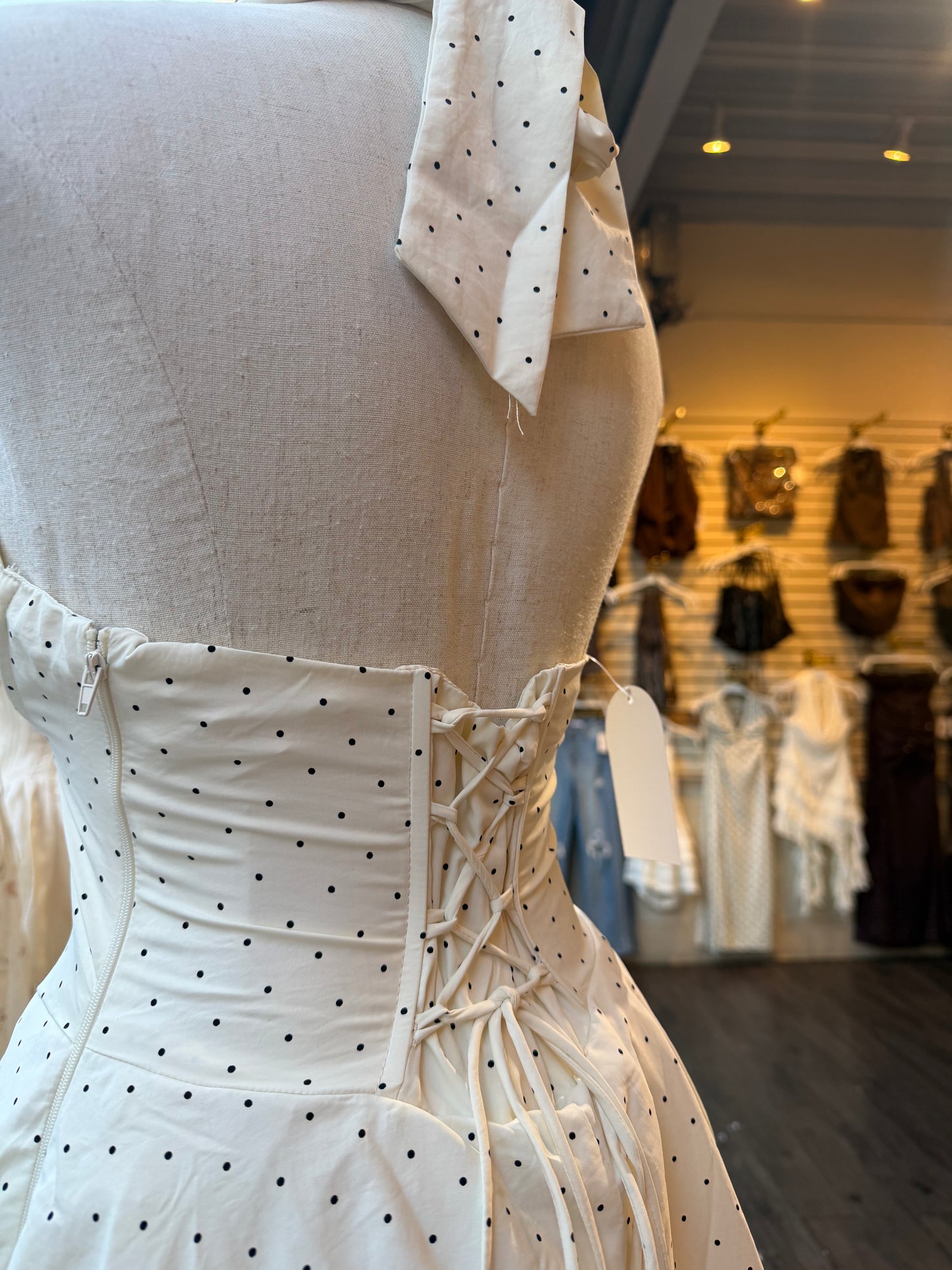 Pretty In Polka Dress